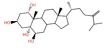 Numersterol A